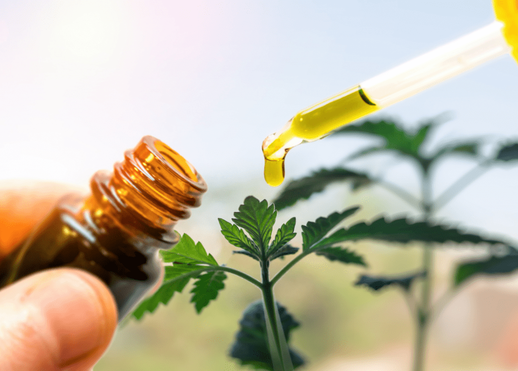 CBD Gummies improves focus
