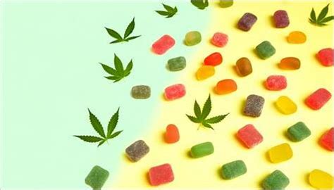 CBD Gummies Beginner-Friendly