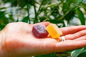 CBD Gummies and Mindful Living